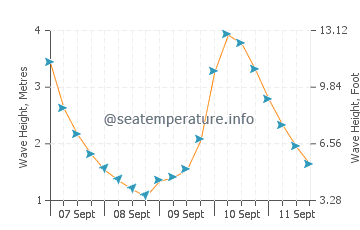 Patea wave height and direction
