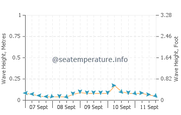 Patikul wave height and direction
