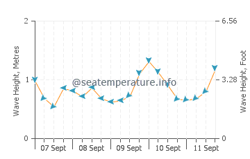 Pauanui wave height and direction