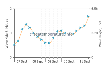Penvins wave height and direction