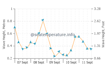 Perce wave height and direction