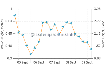 Pett Level wave height and direction