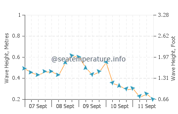Wawa wave height and direction