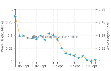 Pinery wave height and direction