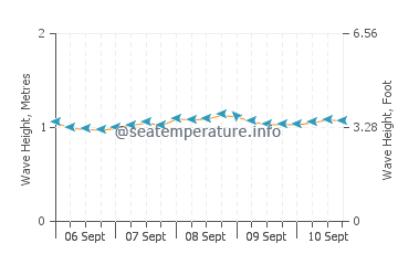 Pis wave height and direction
