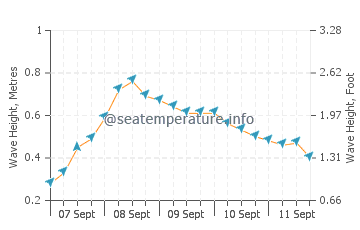 Pitai wave height and direction