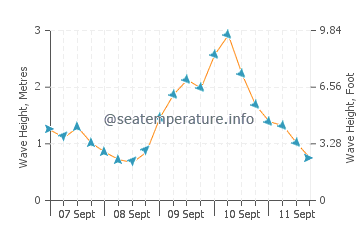 Plimmerton wave height and direction