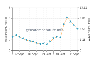 Point Clare wave height and direction