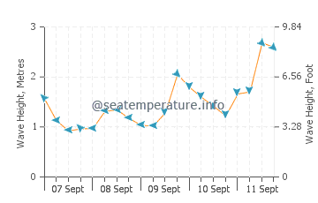 Poor Knights Islands wave height and direction