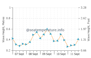 Praia da Marinha wave height and direction