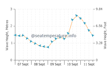 Potato Point wave height and direction