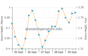 Praia de Faro wave height and direction