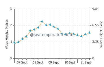Praia do Tonel wave height and direction