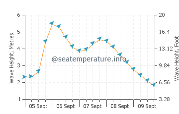 Prevelly wave height and direction