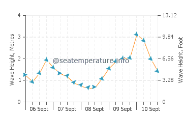Pukerua Bay wave height and direction