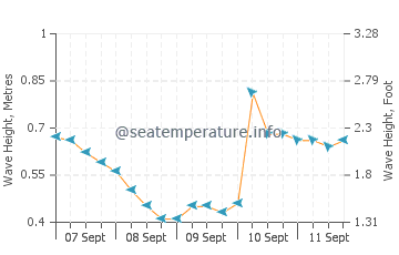 Punta Allen wave height and direction