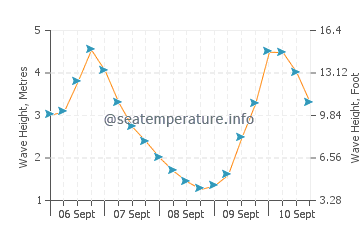 Puponga wave height and direction