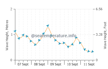 Raleigh wave height and direction