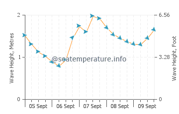 Reboredo wave height and direction