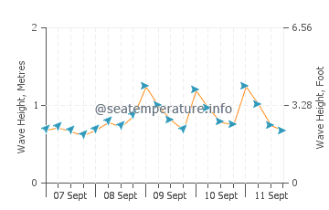 Rincon Point wave height and direction