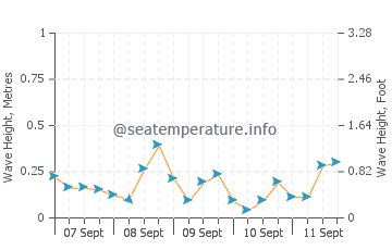 Rio wave height and direction