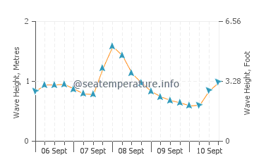 Rissers Beach wave height and direction