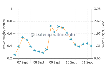 Rize wave height and direction