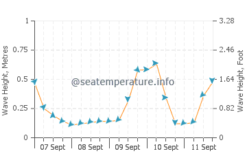 Rosebank wave height and direction