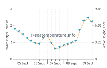 Rosebud wave height and direction