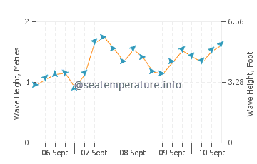 Rotherslade wave height and direction