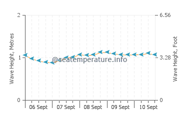 Ruo wave height and direction