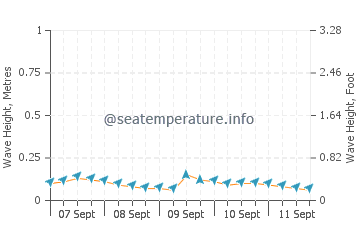 Ruskin wave height and direction