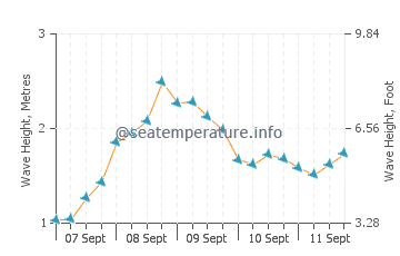 Sagres wave height and direction