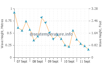Saint Augustin wave height and direction