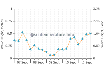 Salwa wave height and direction