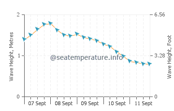 Samarai wave height and direction