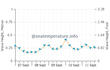 San Miguel wave height and direction