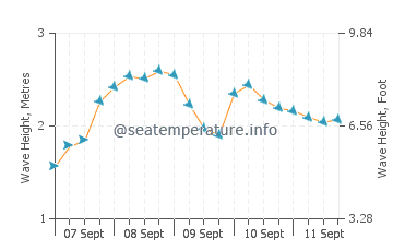 Sao Pedro de Moel wave height and direction