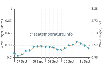 Saparua wave height and direction