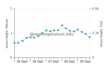 Saumlaki wave height and direction