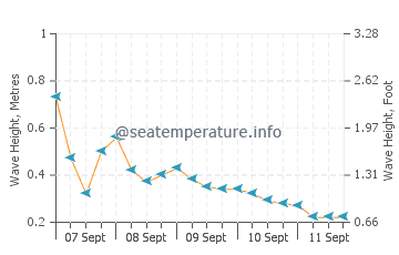 Semarang wave height and direction