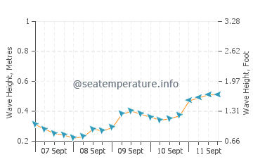 Shazikou wave height and direction