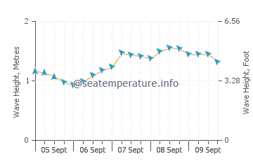 Shelly Bay Beach wave height and direction