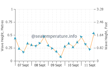Shippagan wave height and direction