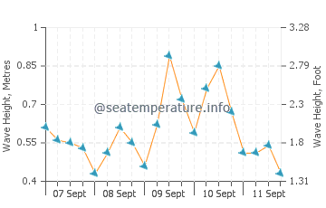 Silver Sands Beach wave height and direction