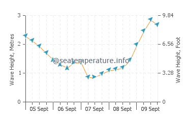 Skenes Creek wave height and direction