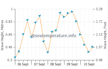 Stephenville wave height and direction