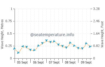 Suakin wave height and direction