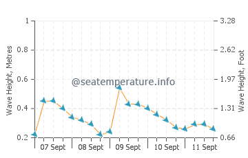 Surmene wave height and direction