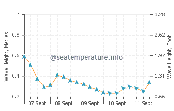 Surry wave height and direction